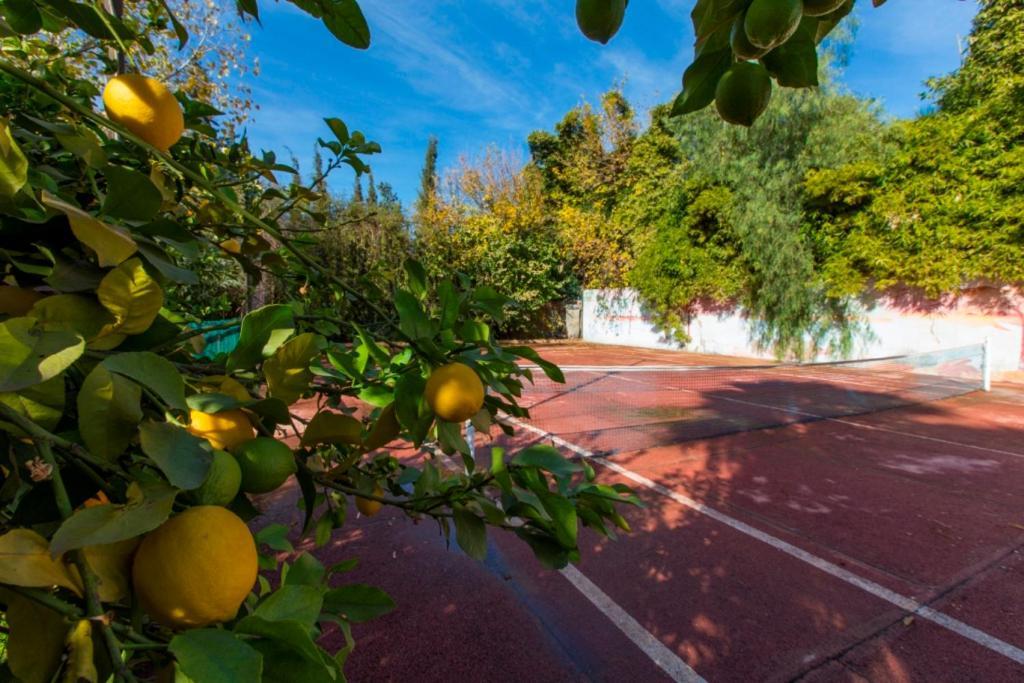 Villa Zahra Palmeraie Marrákes Kültér fotó